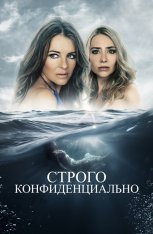 Строго конфиденциально / Strictly Confidential [Полная версия] (2024) BDRip 1080p | Дубляж