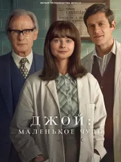 Джой: Маленькое чудо / Joy (2024) WEB-DL 1080p | Flarrow Films