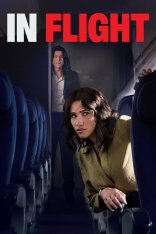 В полёте / In Flight (2024) WEBRip 1080p