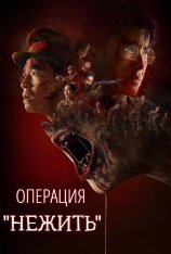 Операция "Нежить" / Operation Undead (2024) WEBRip 1080p | datynet