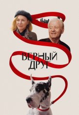 Верный друг / The Friend (2024) WEB-DL 1080p | HDRezka Studio Верный друг / The Friend (2024) WEB-DL 1080p | HDRezka Studio
