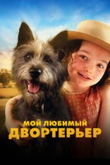 Мой любимый двортерьер / Runt (2024) BDRip 1080p | Лицензия