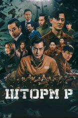 Шторм P / P Storm (2019) WEB-DL 1080p | Дубляж